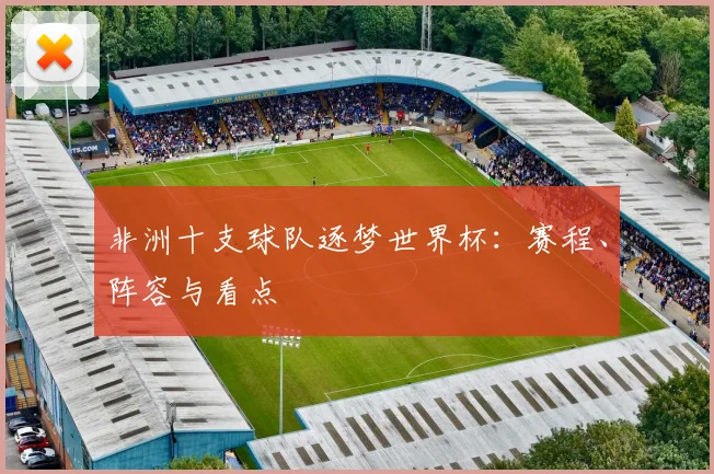 非洲十支球队逐梦世界杯：赛程、阵容与看点